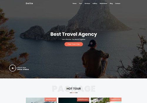 Web Design Package Example: Delite - Travel Agency Landing Page Template