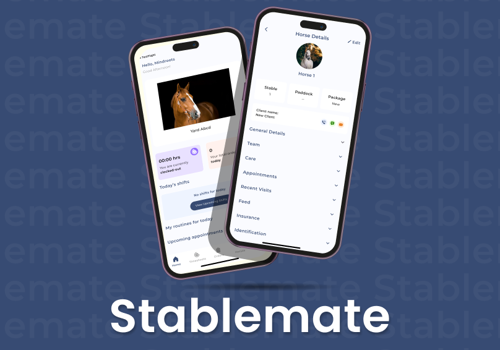 UX/UI Design Package Example: Stablemate
