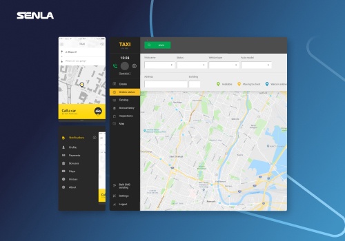 Custom Software Development Package Example: Taxi Software Ecosystem