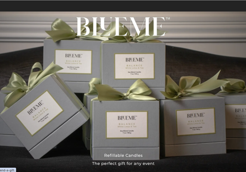 Web Design Package Example: Branding and Website Blue Me