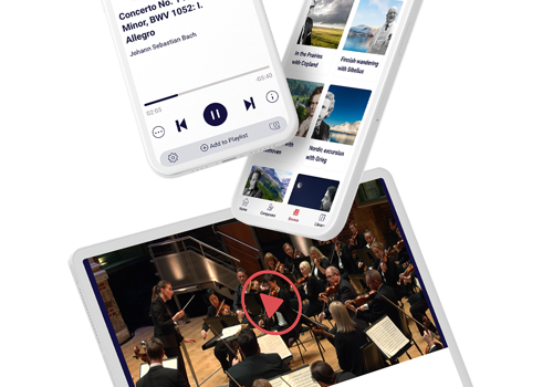 UX/UI Design Package Example: Online Intelligent Streaming Service