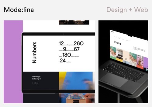 Web Design Package Example: MODE:LINA