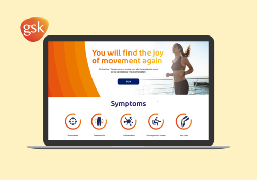 Web Development Package Example: GSK