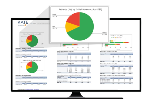 AI Consulting Package Example: AI Consulting for Healthcare Emergency Analytics