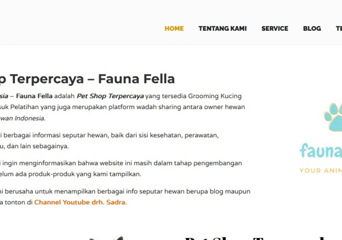 Search Engine Optimization Package Example: Pet Shop Indonesia