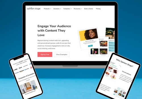 Web Development Package Example: OpinionStage