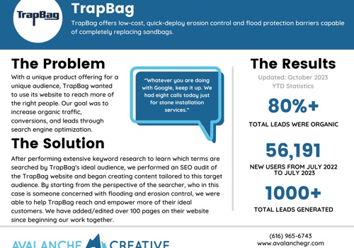 Search Engine Optimization Package Example: TrapBag Case Study