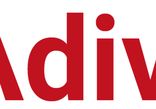 Marketing Strategy Package Example: Adivi