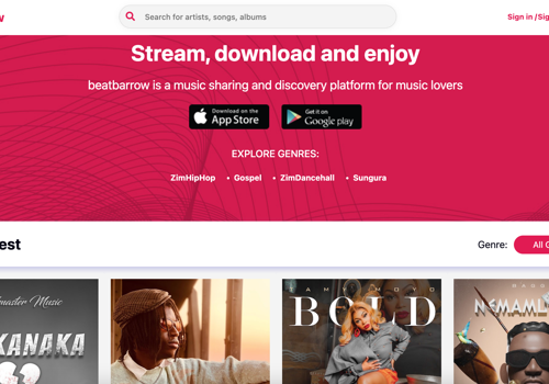 Application Testing Package Example: Beatbarrow Music Platform