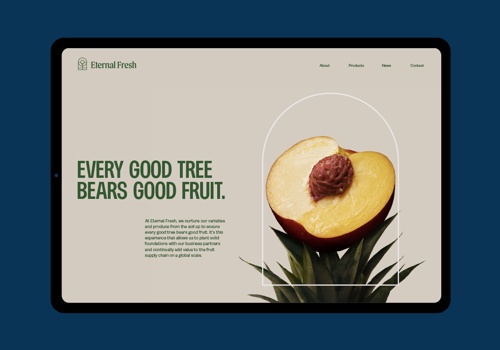 Branding Package Example: Brand Identity Agency