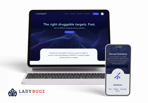 Web Design Package Example: Website Design for a bioinformatics company