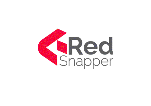 UX/UI Design Package Example: Red Snapper Group