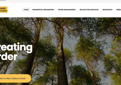 Web Design Package Example: Certified Professional Organizer