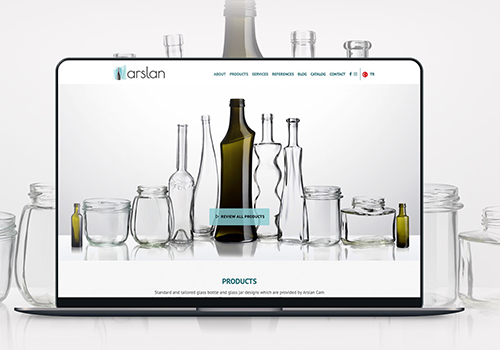 Web Design Package Example: Arslan Ambalaj