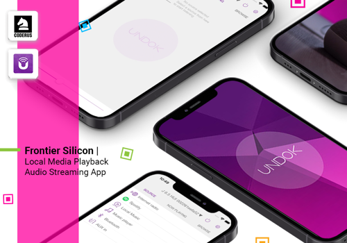 Mobile App Development Package Example: Frontier Silicon | Local Media Playback Audio App