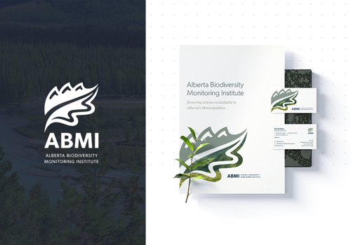 Branding Package Example: ABMI Branding