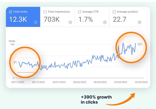 Search Engine Optimization Package Example: SEO Case Study:4X Growth in 6 months for eCommerce
