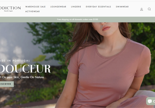 Web Design Package Example: Addiction Nouvelle Lingerie