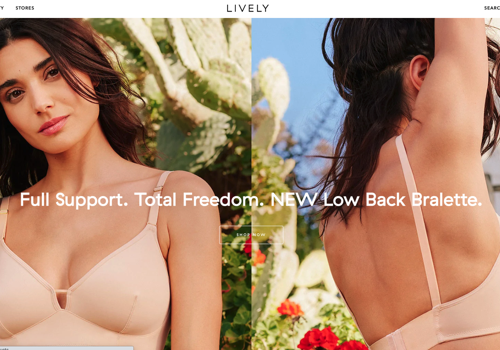 Pay Per Click Package Example: LIVELY