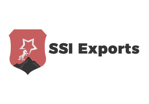 Web Development Package Example: SSI Exports