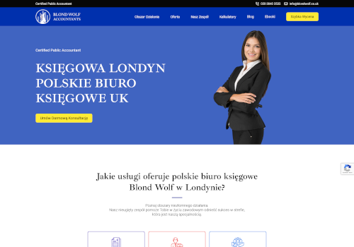 Custom Software Development Package Example: Blond Wolf Accountants