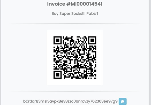 Custom Software Development Package Example: Processing: Bitcoin, Ethereum, Litecoin, DASH etc