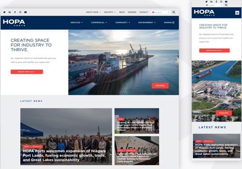 UX/UI Design Package Example: High-Performance WordPress Website Development