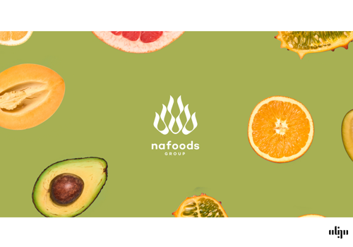 Branding Package Example: NaFoods  Branding