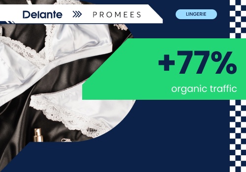 Search Engine Optimization Package Example: SEO for Promees.pl