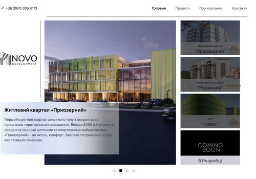 Web Development Package Example: Novo-development Real Estate