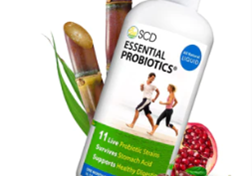 Ecommerce Marketing Package Example: Probiotics - Jessica Phetvorasack