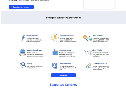 Web Design Package Example: Alphapays