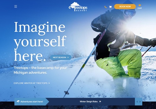 Web Design Package Example: We've Leveled Up Our Web Design With Treetops