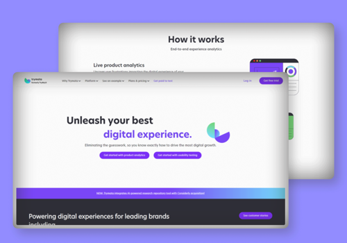 Custom Software Development Package Example: Trymata