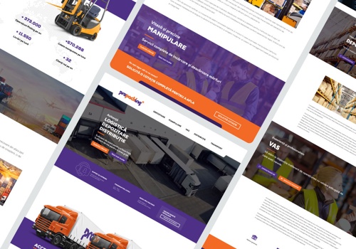 Branding Package Example: Pro Packing Logistics: A Seven-Year Journey