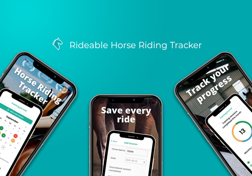 Mobile App Development Package Example: Rideable Horse Riding Tracker