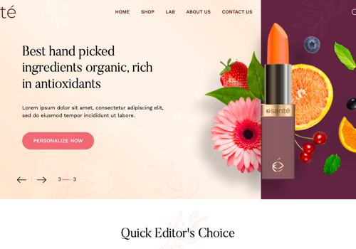 Web Development Package Example: Cosmetic website