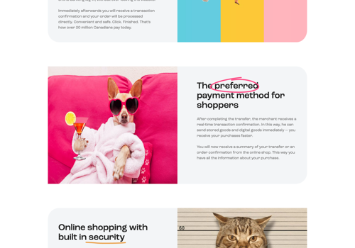 Web Development Package Example: Webflow CMS Website