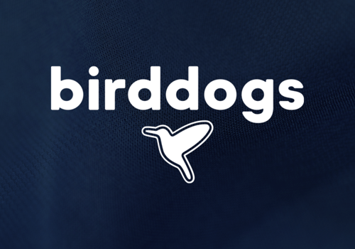 Branding Package Example: Birddogs Rebrand