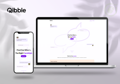 Custom Software Development Package Example: Qibble