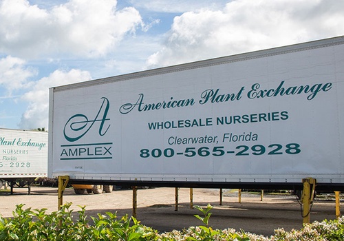 UX/UI Design Package Example: Amplex B2B Platform on Modern Web Stack