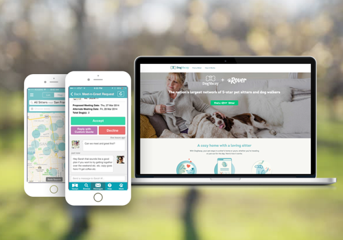 Custom Software Development Package Example: Dog Vacay