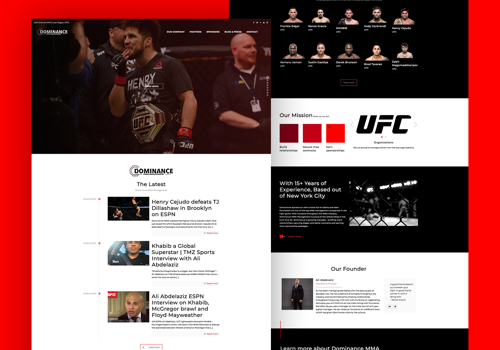Web Design Package Example: Dominance MMA