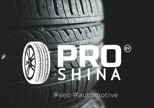 Search Engine Optimization Package Example: Website Promotion | Proshina