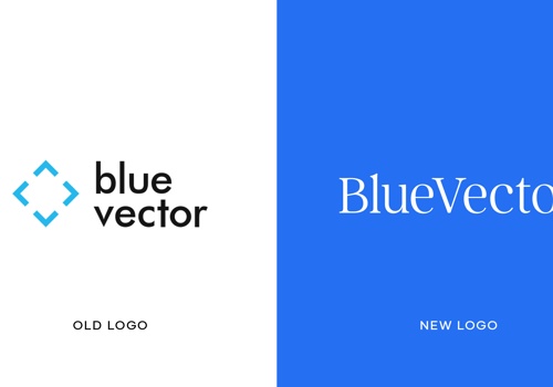 Branding Package Example: Blue Vector