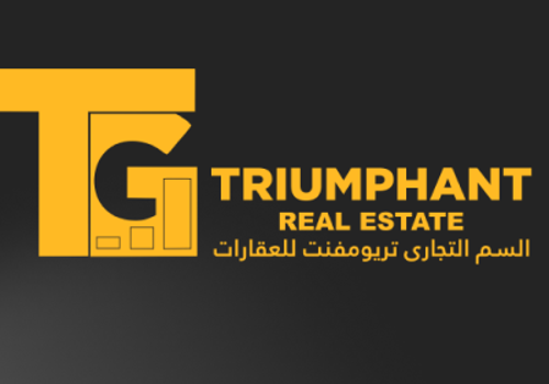 Pay Per Click Package Example: Global Real Estate Marketing for Triumphant