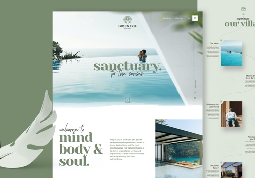 UX/UI Design Package Example: Green Tree, Web Design and Development