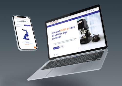 Web Design Package Example: ClipsShop / Concept Web Design