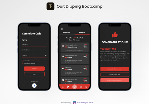 Mobile App Development Package Example: Quit Dipping Bootcamp: App to quit smoking