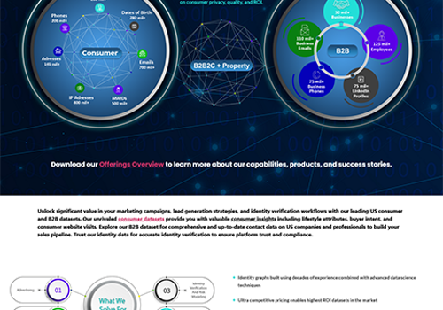 Web Design Package Example: BigDBM Website Redesign Project .